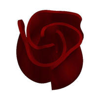 Rose - Thumbnail 2
