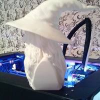 Gandalf Bust - Thumbnail 1