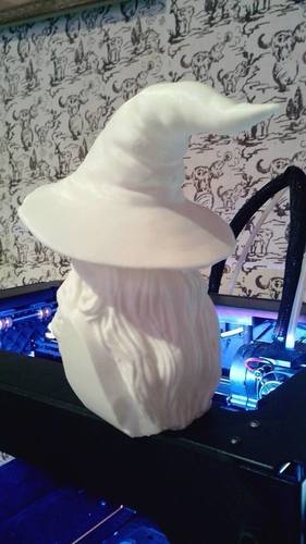 Gandalf Bust 3D Print 63572