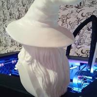 Gandalf Bust - Thumbnail 2