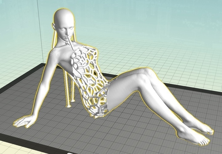 Voronoi Experiment no:13 Confidential 1 3D Print 63638
