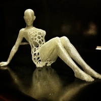 Voronoi Experiment no:13 Confidential 1 - Thumbnail 2