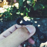 SLIDE - Thumbnail 5