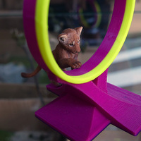 Jump hoop for pets - Thumbnail 3