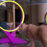 Jump hoop for pets - Thumbnail 4