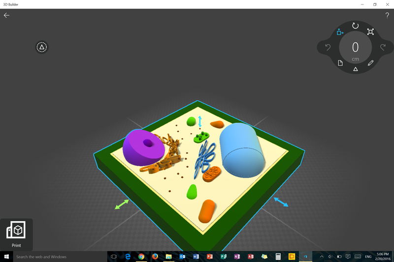 plant cell