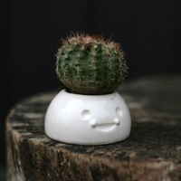 Happy Planters- Small - Thumbnail 2