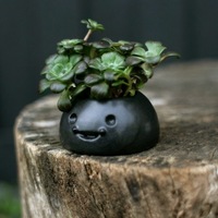 Happy Planters- Small - Thumbnail 3