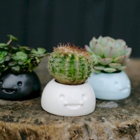 Happy Planters- Small - Thumbnail 4