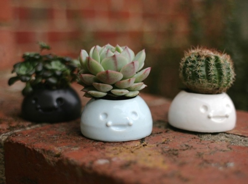 Happy Planters- Small