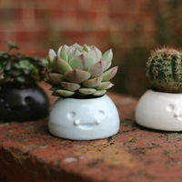 Small Happy Planters- Small 3D Printing 6438