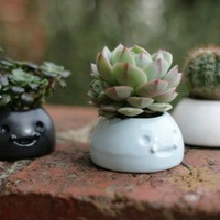 Happy Planters- Small - Thumbnail 7