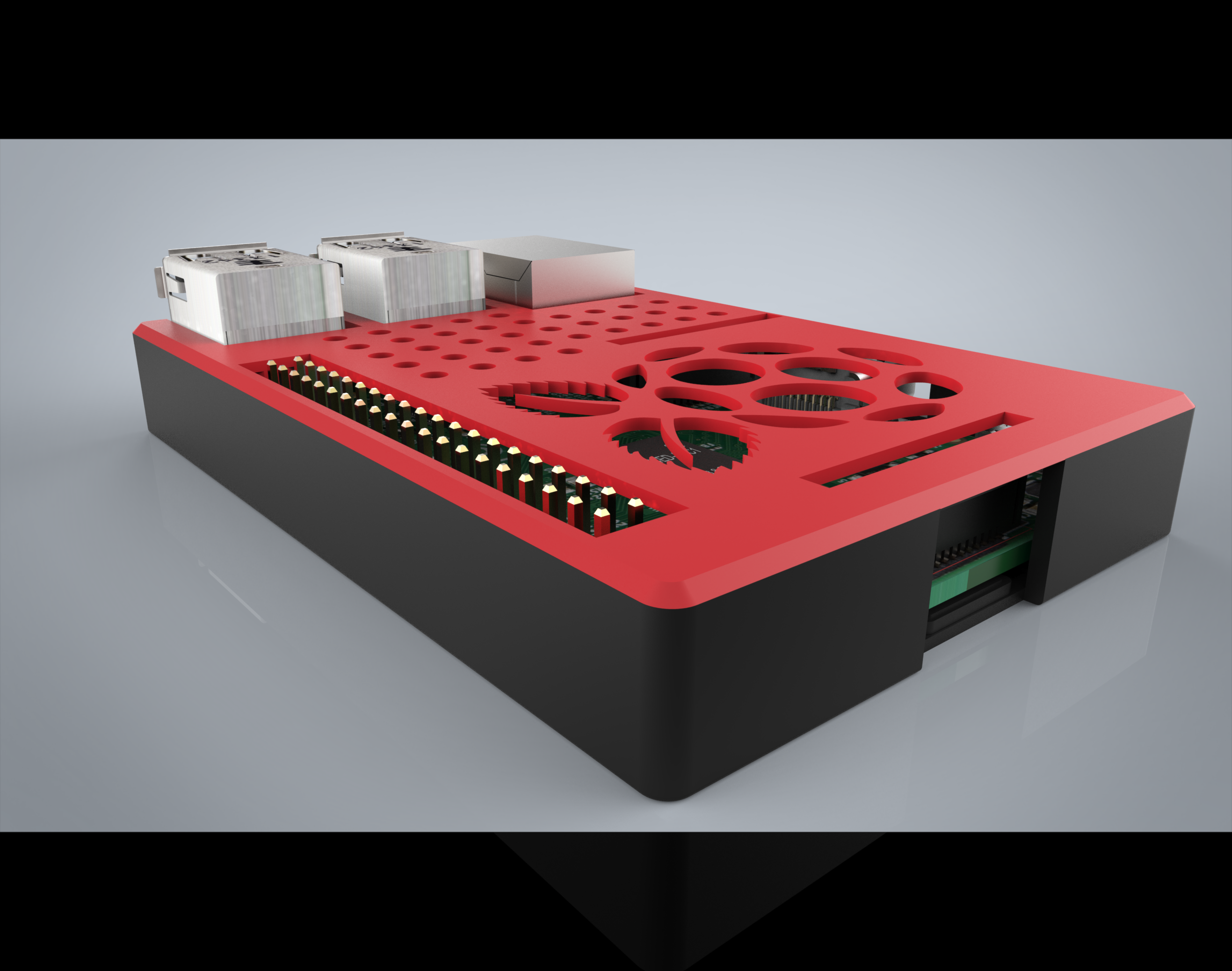 Raspberry 3d model