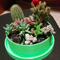 Planter & Tray - Thumbnail 4