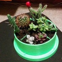 Planter2 & Tray2 - Thumbnail 1