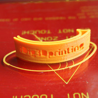 iDig 3D printing Money Clip - Thumbnail 1