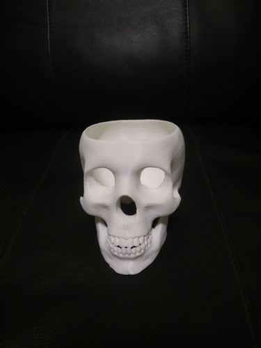 Skull Planter 3D Print 65343