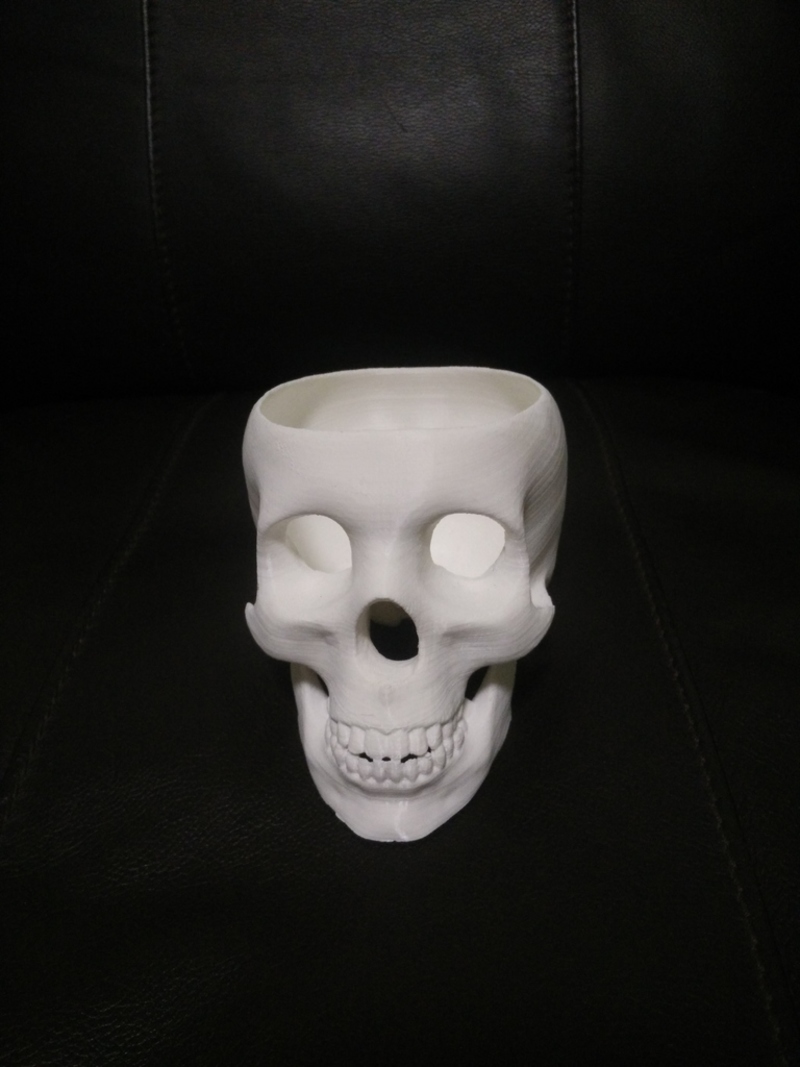 Skull Planter