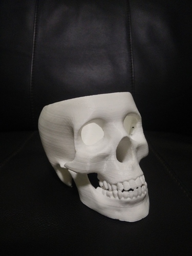 Skull Planter 3D Print 65344