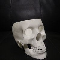 Skull Planter - Thumbnail 2