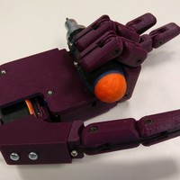 Dextra - Thumbnail 2