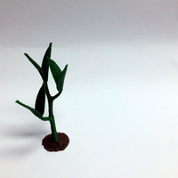 Tree Life - Thumbnail 3