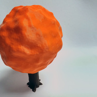 Tree Life - Thumbnail 6