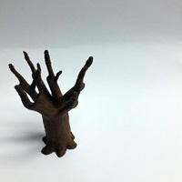 Tree Life - Thumbnail 7