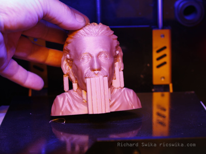 Einstein Bust (14K) 3D Print 65574