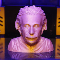 Einstein Bust (14K) - Thumbnail 3