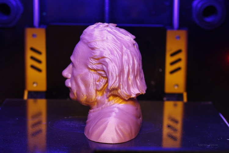 Einstein Bust (14K) 3D Print 65576