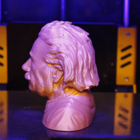 Einstein Bust (14K) - Thumbnail 4