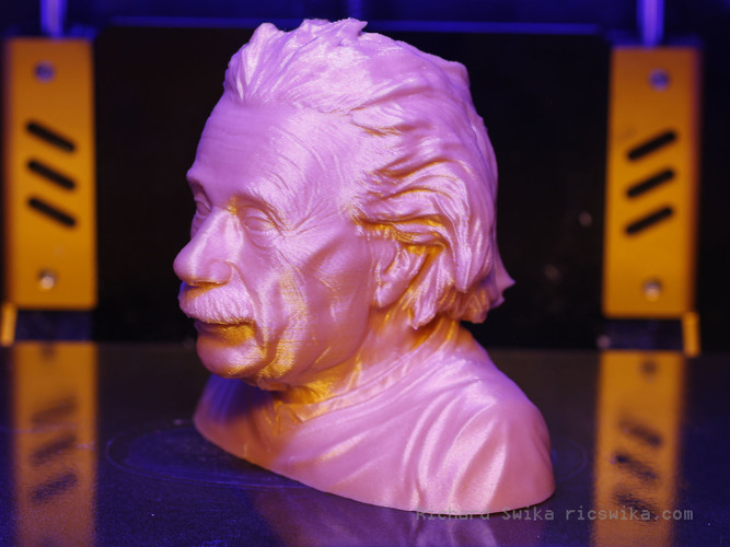 Einstein Bust (14K) 3D Print 65577