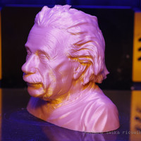 Einstein Bust (14K) - Thumbnail 5