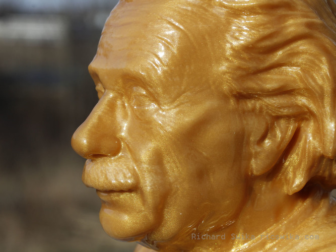 Einstein Bust (14K) 3D Print 65580