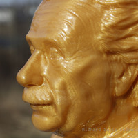 Einstein Bust (14K) - Thumbnail 8