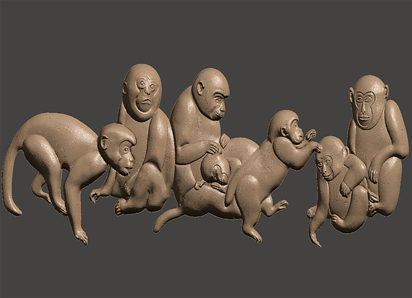 Monkeys-family