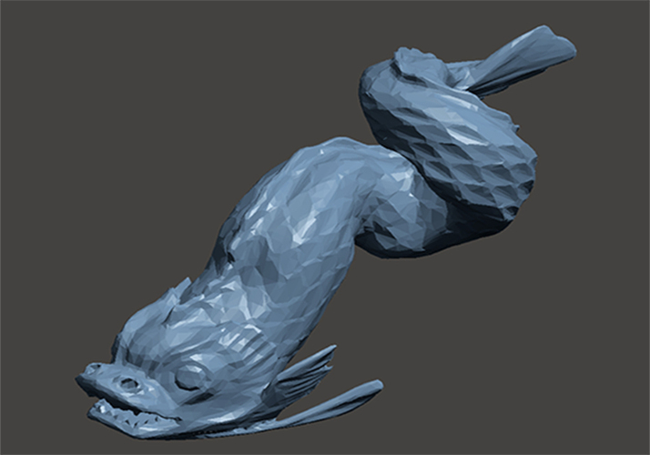 Big-Fish 3D Print 65662