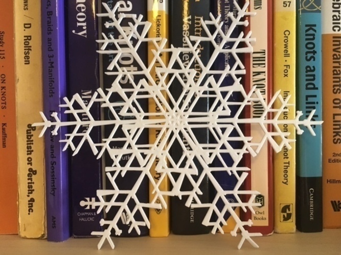 Huge Snowflakes - from the Snowflake Machine 3D Print 65727