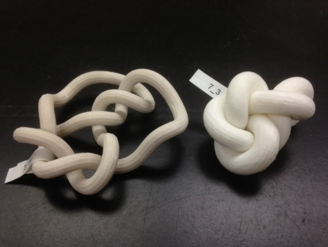 Minimum Rope Length Conformation of Knot 7_3 3D Print 65747