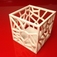 Small Voronoi box tester 3D Printing 66076