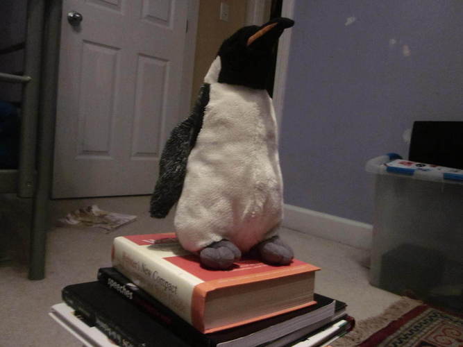 Stuffed Penguin Scan 3D Print 66361