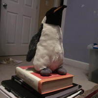 Stuffed Penguin Scan - Thumbnail 2