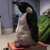 Stuffed Penguin Scan - Thumbnail 3