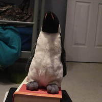 Stuffed Penguin Scan - Thumbnail 4