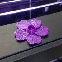 Small Forget Me Not 3D Printing 66388