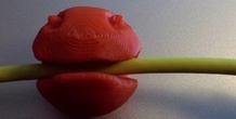 Image 66591