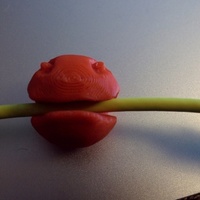 Cord Mouth - Thumbnail 2
