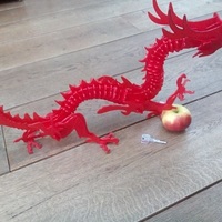 3dPuzzle Dragon - Thumbnail 5