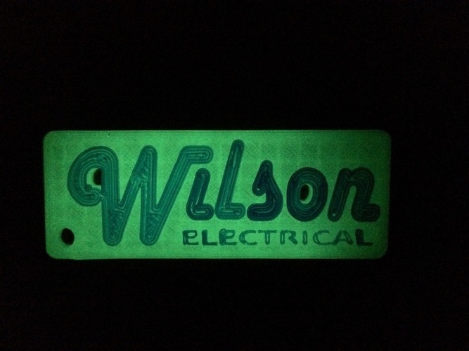 Wilson Electrical keychain 3D Print 67637